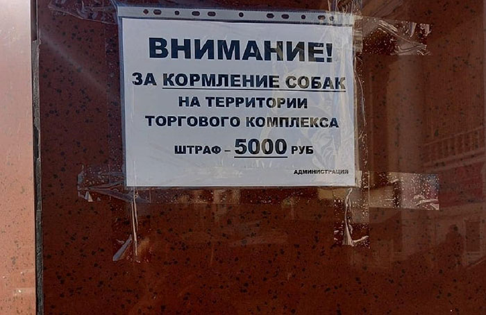 Администрация астраханского рынка предупреждает о штрафе за кормление собак