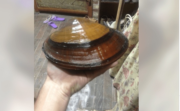 Форма воды: в Астрахани выставили на продажу удивительного речного мутанта