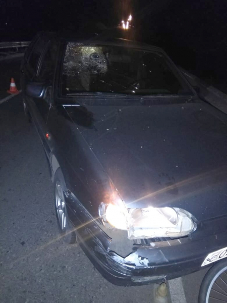 В Астраханской области на мосту погиб велосипедист 