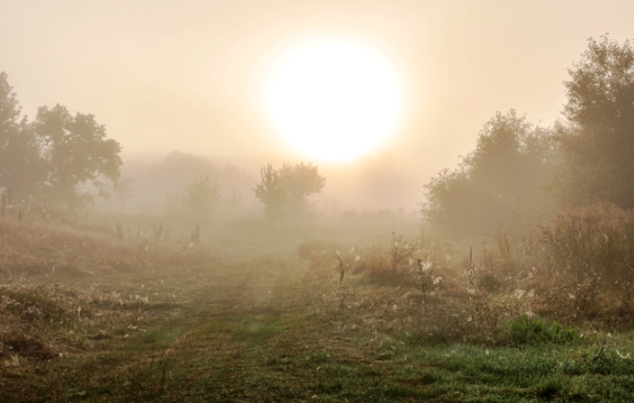Завтра в Астраханской области будет много солнца и градусов 