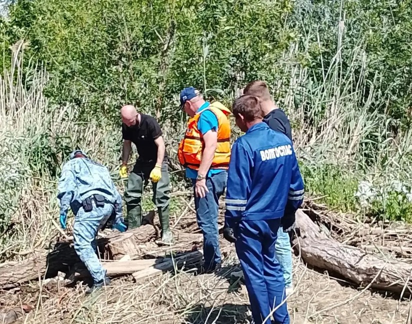 Вынесло на остров, завалило деревьями: завершились поиски астраханца, утонувшего в мае