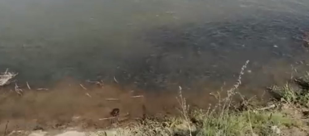 В Астраханской области найден рай для рыбаков (ВИДЕО)