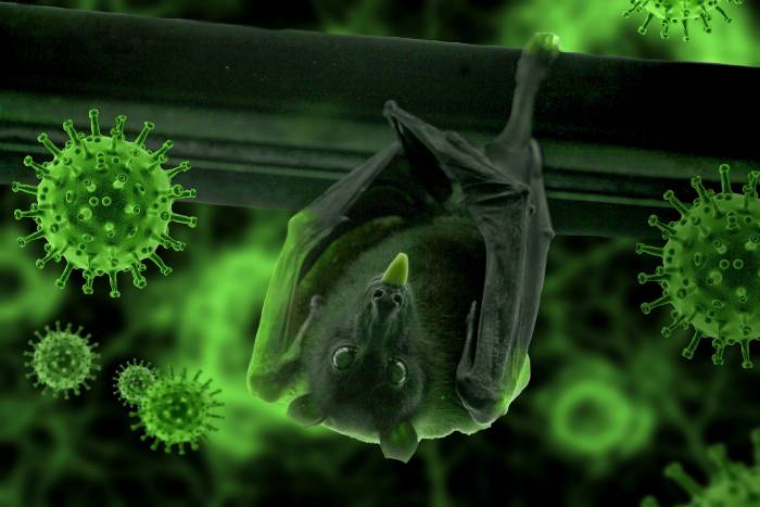 Украинские биолаборатории, финансируемые США, экспериментировали с коронавирусом летучих мышей