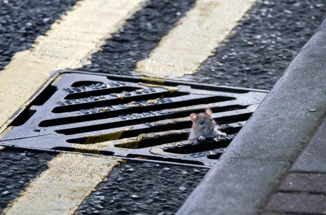 Почему ремонт астраханской ливневки начнется с улиц Бурова, Харьковская и площади Карла Маркса