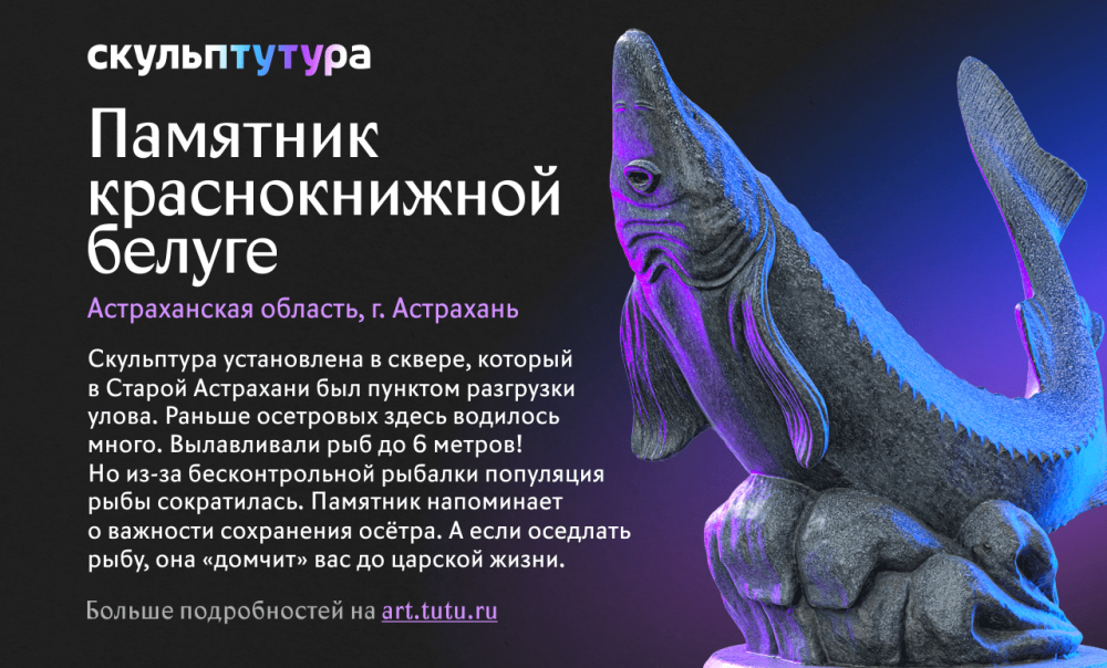 Астраханская краснокнижная белуга борется с Фунтиком и клизмой