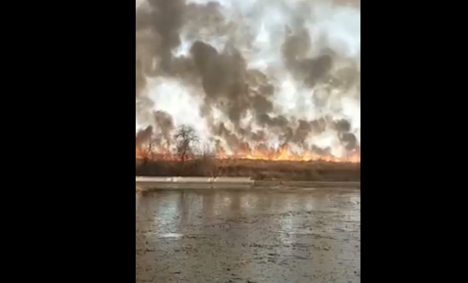 Астраханцев напугали пожары в дельте 