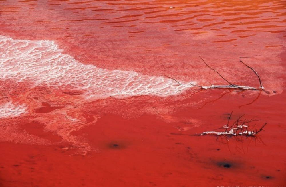 В Астраханской области сфотографировали марсианскую реку