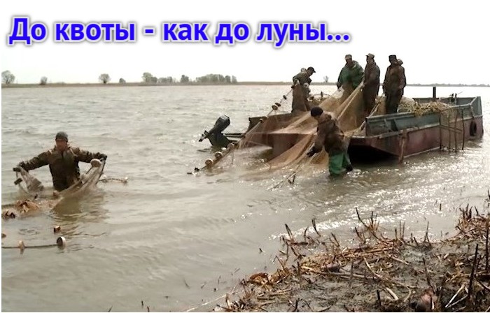 Ловись хоть что-то: Астраханская область может установить новый антирекорд по вылову рыбы