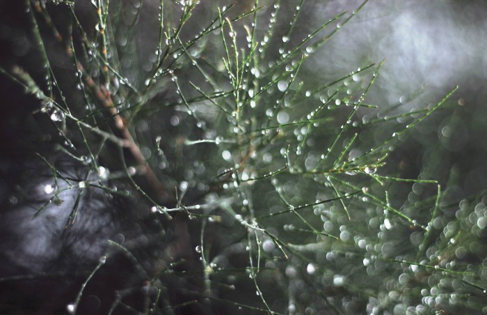 Завтра в Астраханской области температура будет метаться от -4°  до +4°