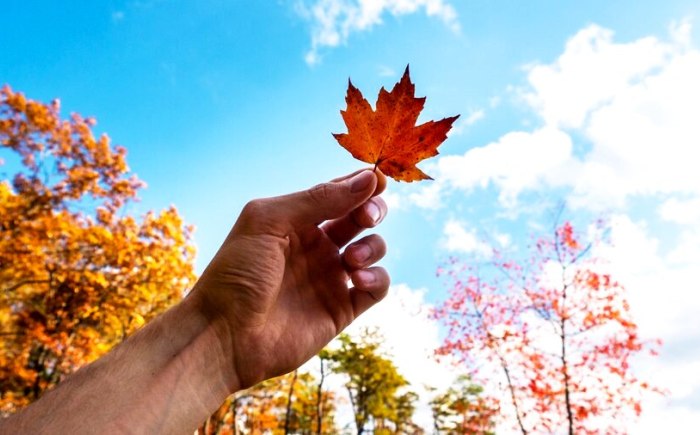 Завтра в Астраханской области вновь будет день с летним оттенком