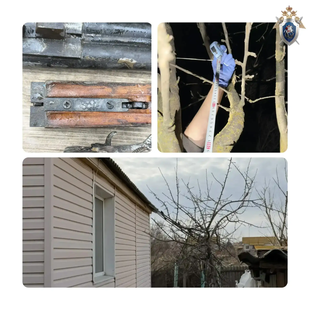 Астраханец, устав от ссор соседей, решил устранить проблему радикальным способом