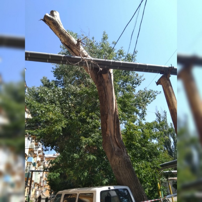 В Астрахани сухое дерево не выдержало и упало на трубу и машину