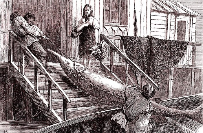 Чем жили. Здесь рыбный дух, здесь рыбой пахнет