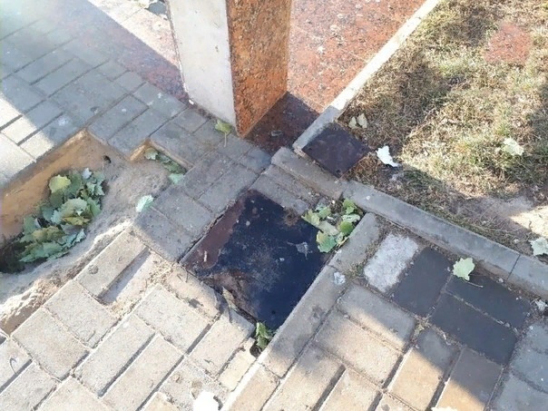 Хотели проверить на прочность. В Астрахани поймали хулиганов, разгромивших сквер у Лебединого озера