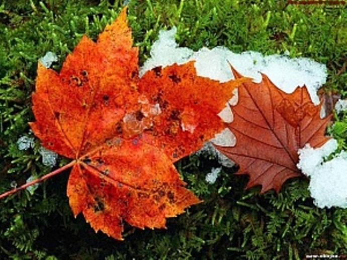 Астраханская погода в ноябре