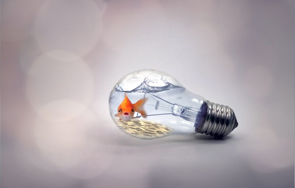 Сегодня, 14 августа, более 30 улиц Астрахани останутся без света