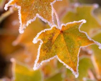 В Астраханской области ожидается резкое похолодание