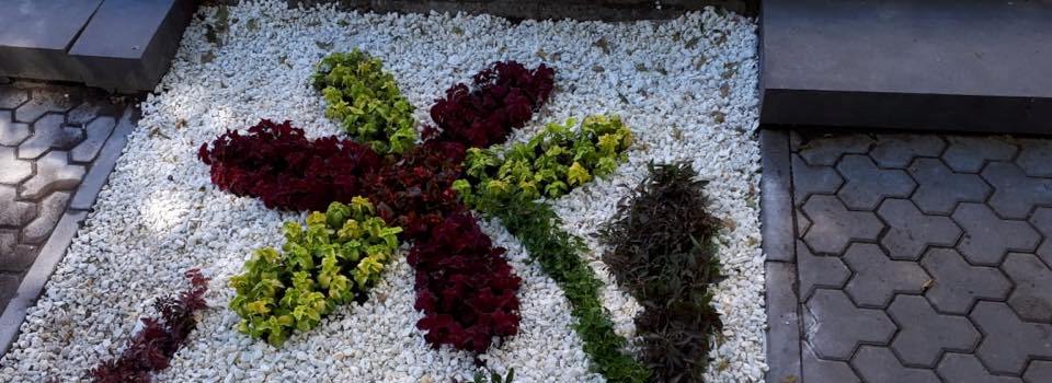 В Астрахани появились необычные клумбы