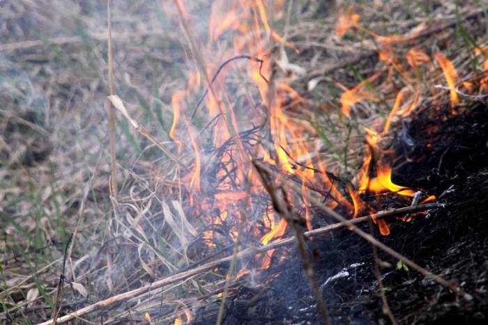 В Астраханской области объявили штормовое предупреждение из-за чрезвычайной пожароопасности