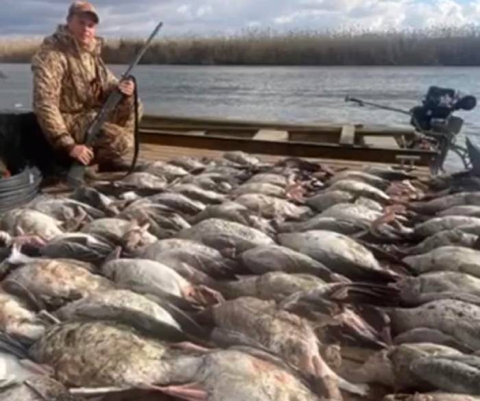 Николай Валуев инициировал проверку астраханской турбазы после фотографий с мертвой дичью