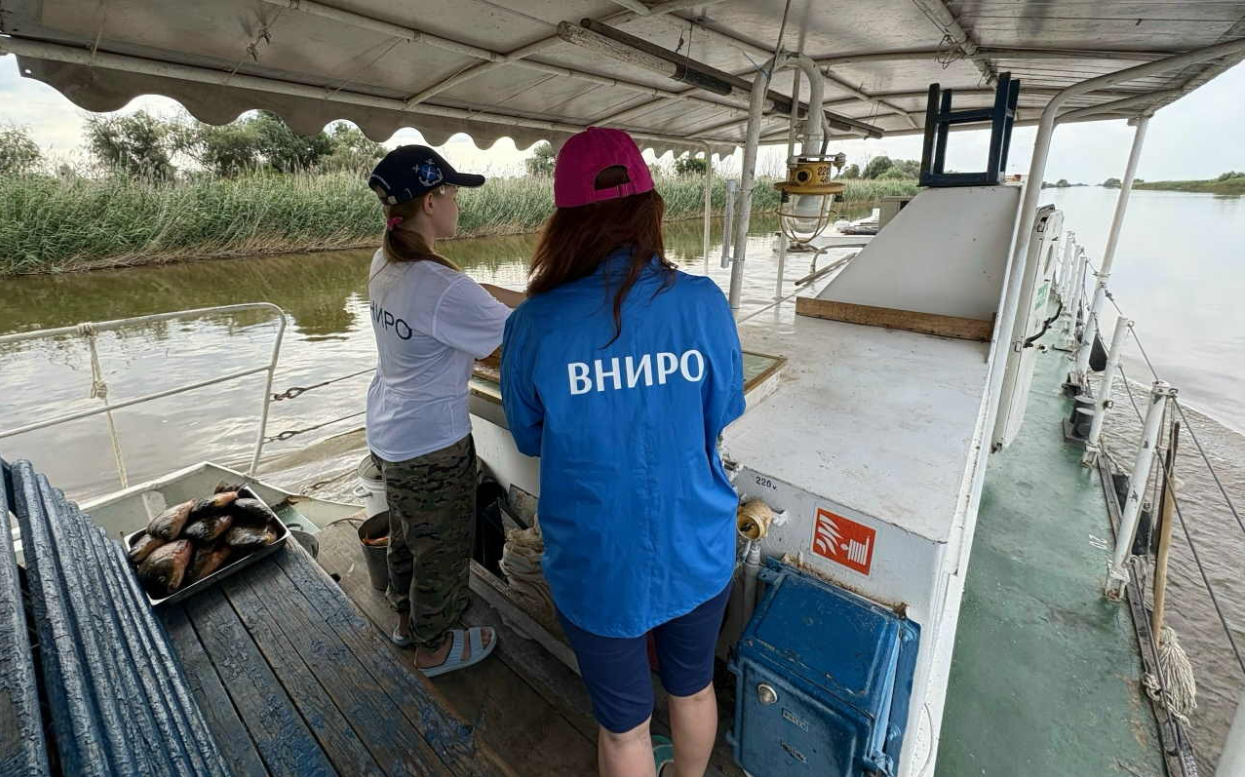 В Астраханской области ученые пересчитали сазанов и рыболовов