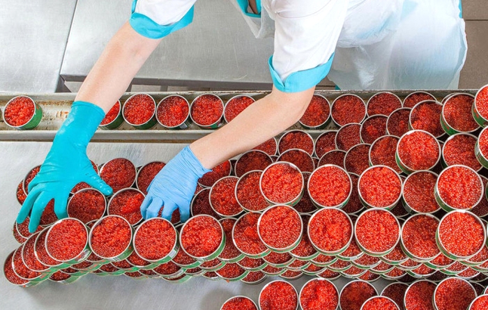 За полгода – почти сто тонн: Астраханская область остается «лидером» по нелегальной икре