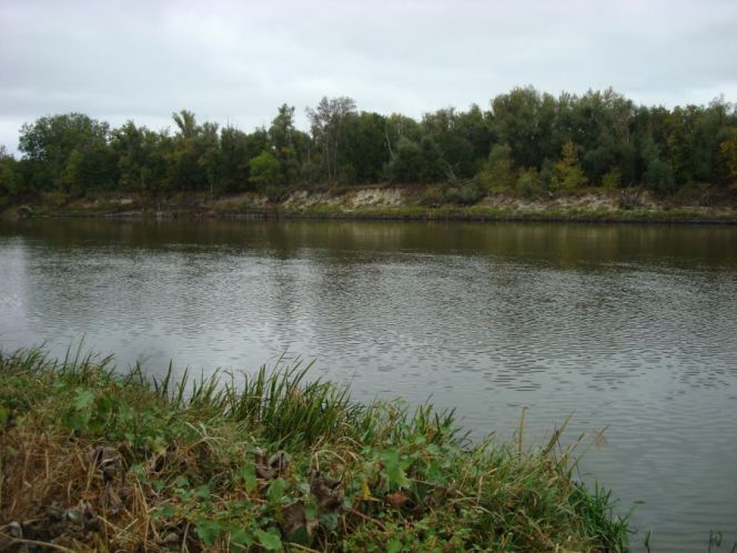 Невероятно пугающая находка обнаружена рыбаками в Астраханской области