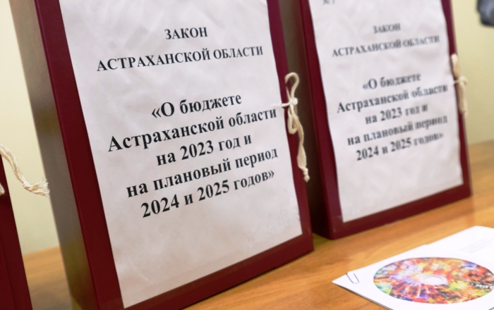 Астраханские депутаты проголосовали за подкорректированный бюджет, который все равно  остался социально ориентированным