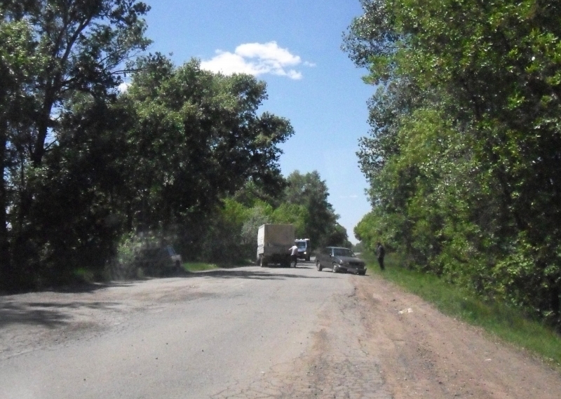 Под Астраханью автомобиль из-за выбоин на дороге врезался в дерево: пострадала беременная пассажирка