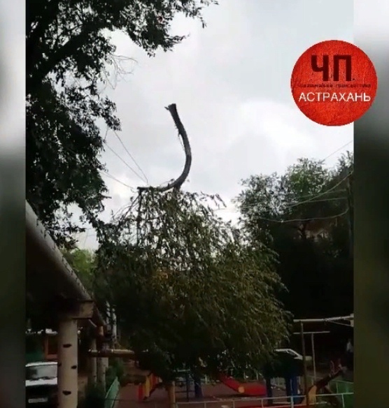 Вчера из-за шквалистого ветра в Астрахани случился настоящий деревопад