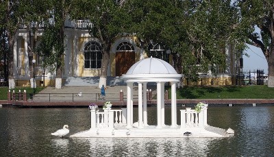 Один из четырех лебедей улетел с Лебединого озера 