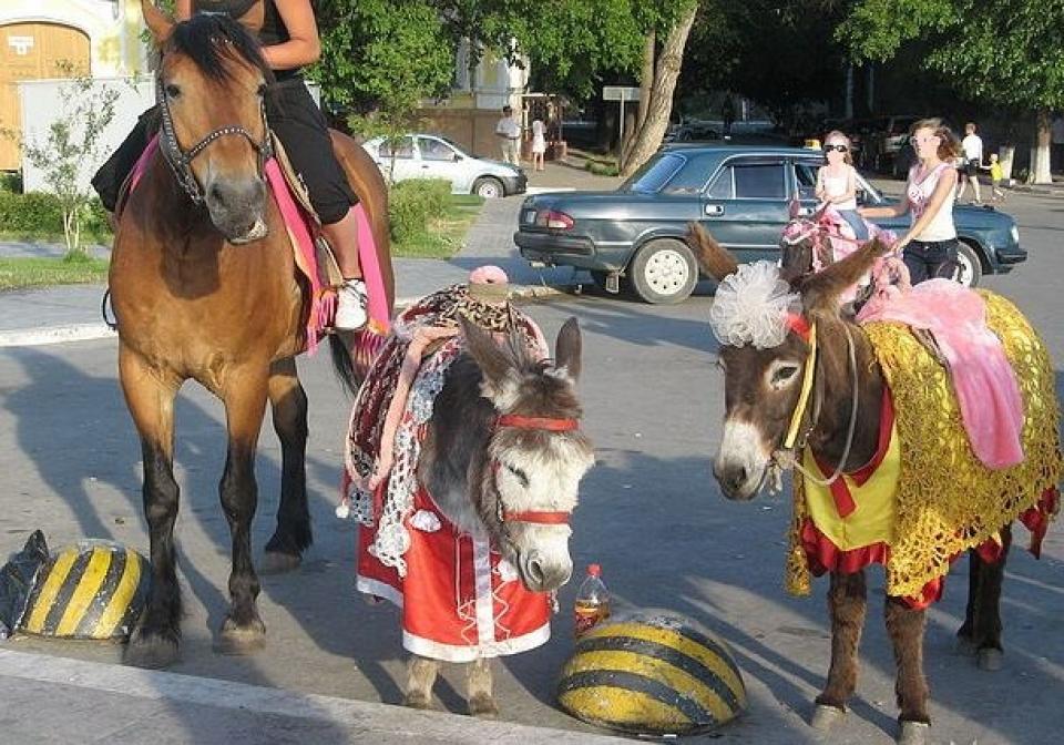 В Астрахани борются с катанием на лошадях по центральным улицам