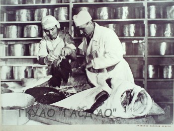 Виртуальную выставку архивных документов ко Дню рыбака открыл астраханский госархив