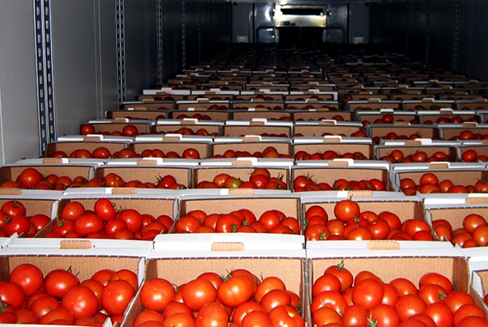В Астраханской области отправили назад 47 тонн иностранных томатов с обнаруженным вирусом