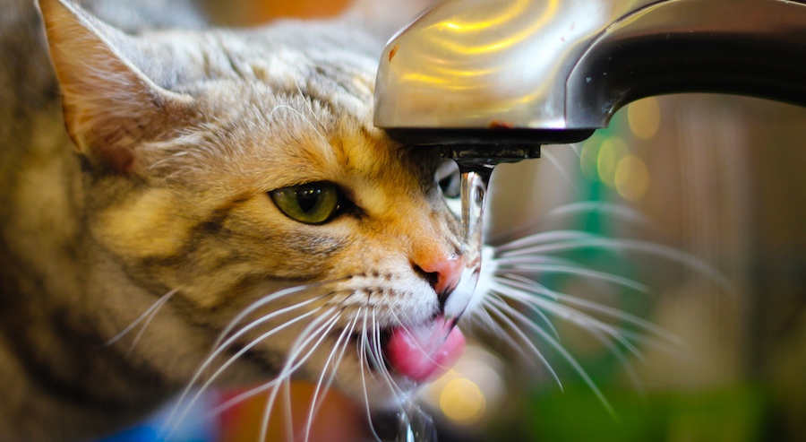 Астраханцев предупреждают о 40-градусной жаре