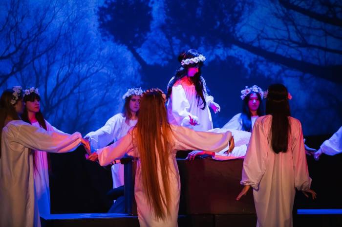 Студенты АГУ показали душу народа через сказки