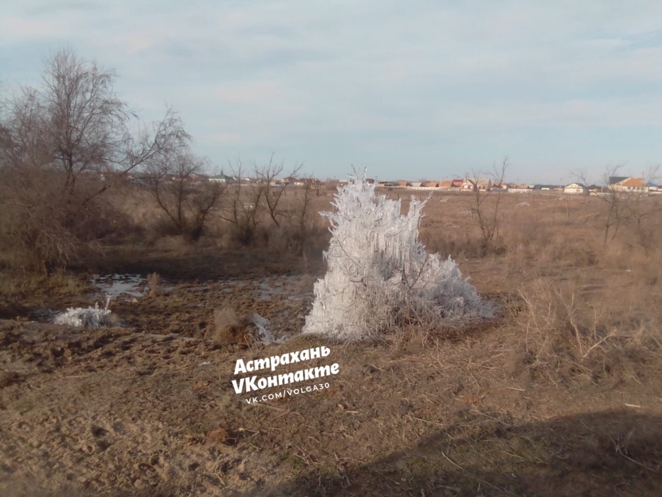 В Астраханской области нашли чудо природы