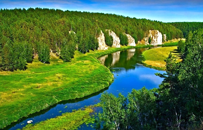 В России на миллион гектаров выросла площадь лесов, поглощающих парниковые газы