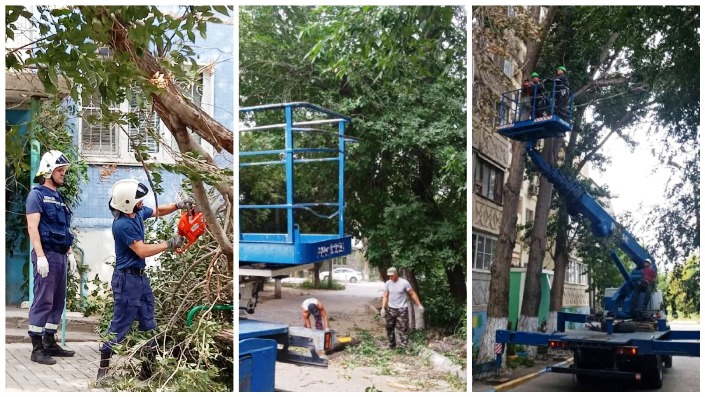 В Астрахани из-за непогоды коммунальные службы устранили последствия падения  18 деревьев