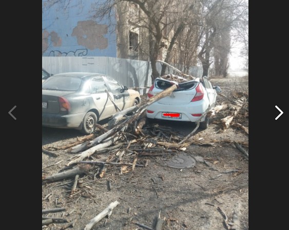 В Астрахани дерево расплющило Hyundai 