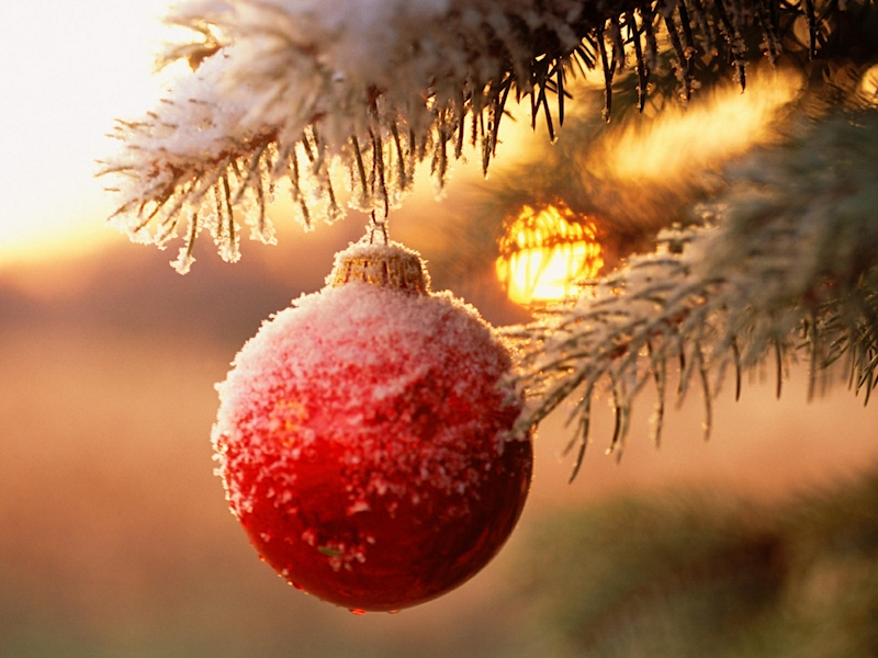 Расписание новогодних мероприятий в Астрахани 