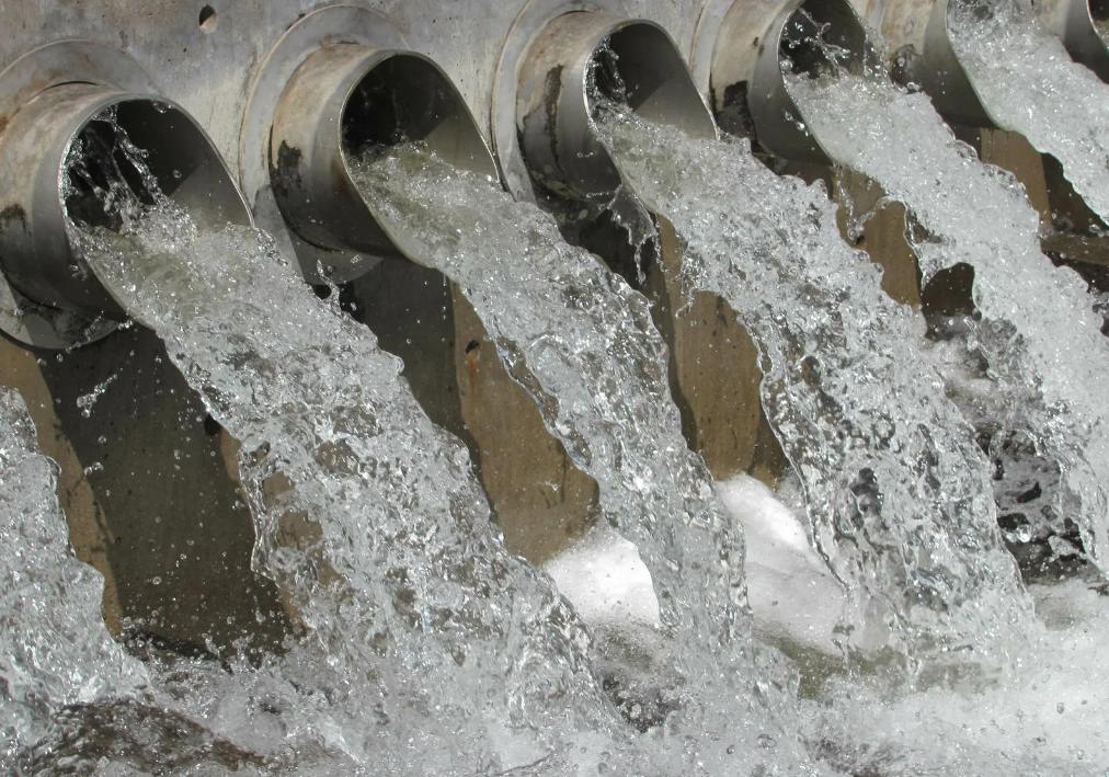 Воду в высыхающие астраханские ерики и ильмени начнут качать уже на следующей неделе