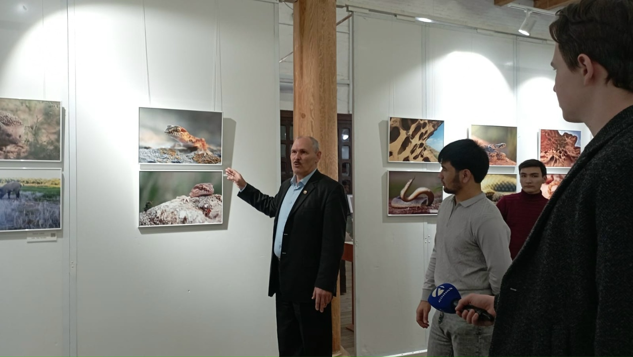 Астраханцам предлагают заглянуть в тайный мир заповедной природы 