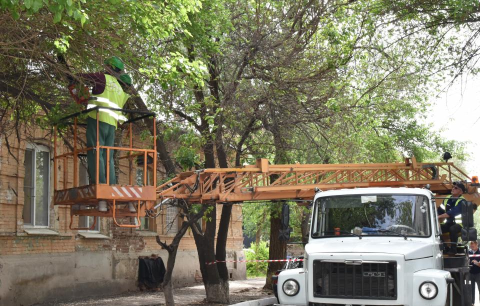 Астраханцы могут оставить заявки на опиловку сухих деревьев