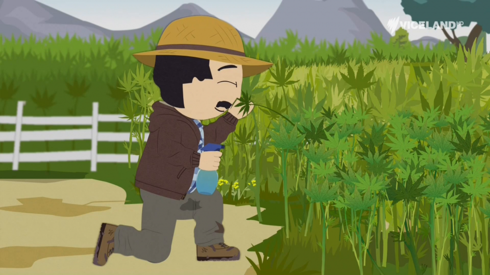 Астраханские полисмены встретили на опушке человека с каннабисом