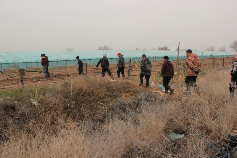 Служебные собаки обнаружили в астраханской теплице 13 нелегальных мигрантов 
