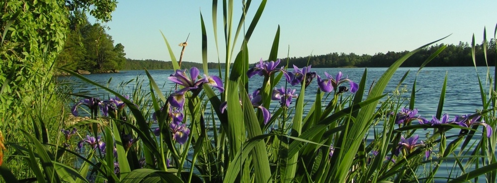 В четверг в Астрахань придет похолодание