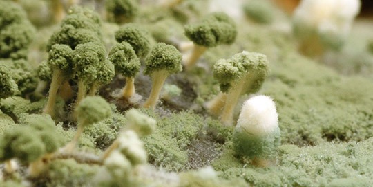 "Агуша" ответила астраханцам, нарвавшимся на испорченный детский сок