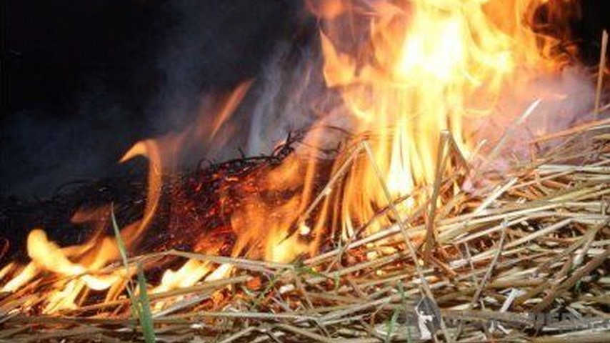 В Астраханской области сгорели 15 тонн сена