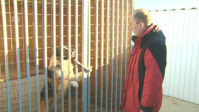 Председатель астраханской Гордумы Игорь Седов решил проверить, как живут собаки в муниципальном приюте
